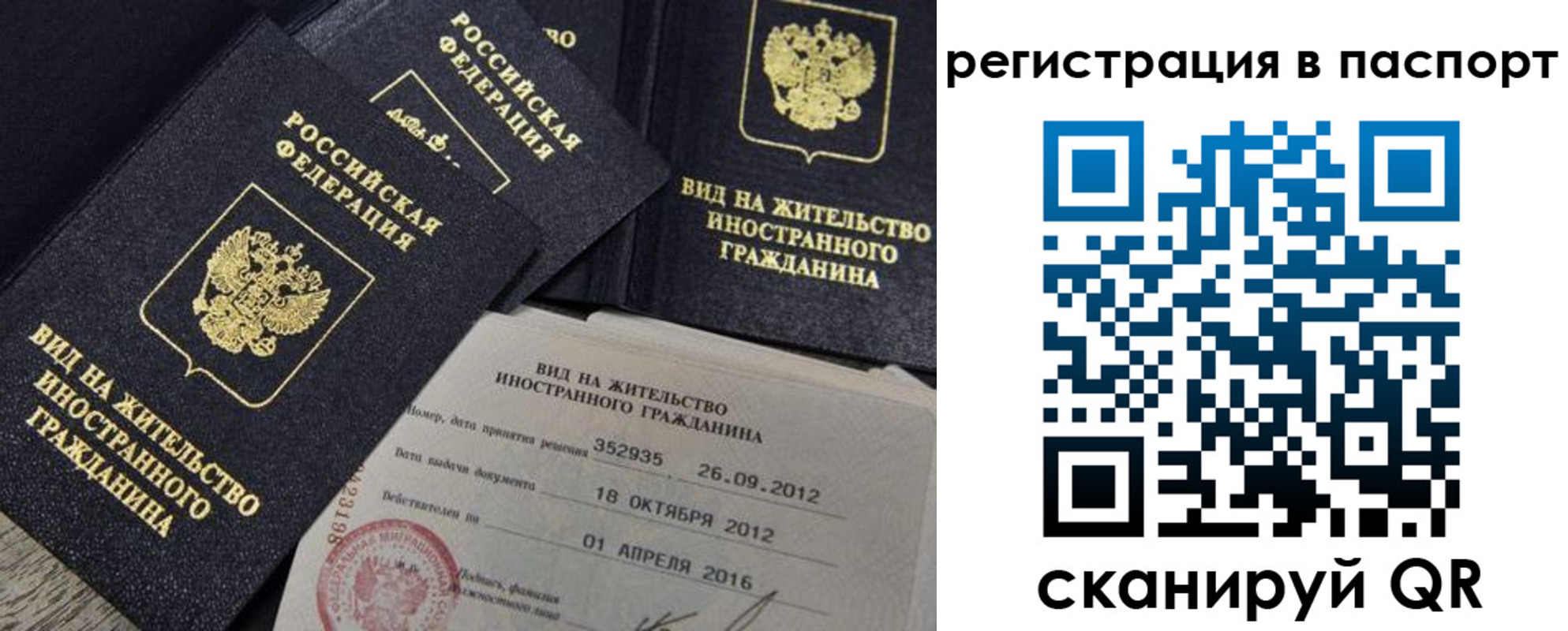 прописка 2025 в Зее